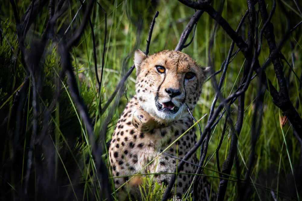 Photograph by Raquel de Castro Maia