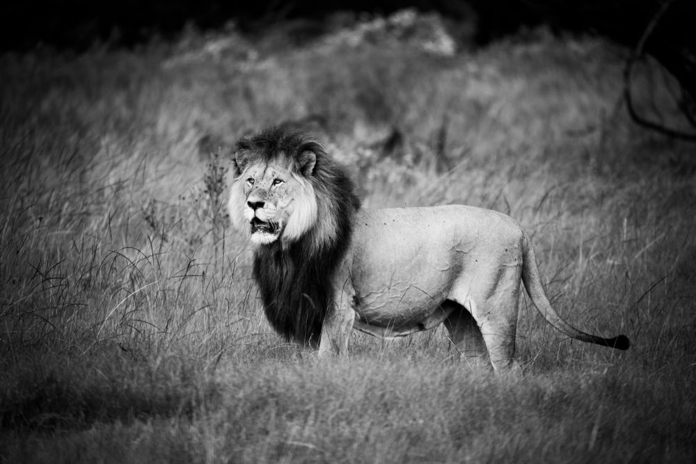 Photograph by Raquel de Castro Maia