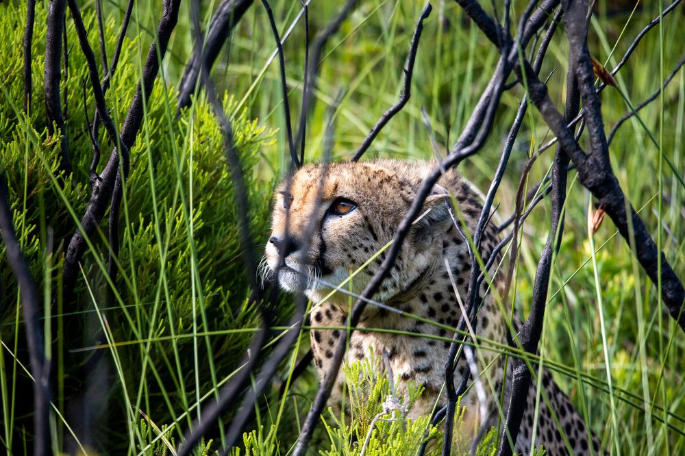 Photograph by Raquel de Castro Maia