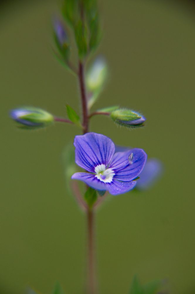 Photograph by Елизавета Корнилова