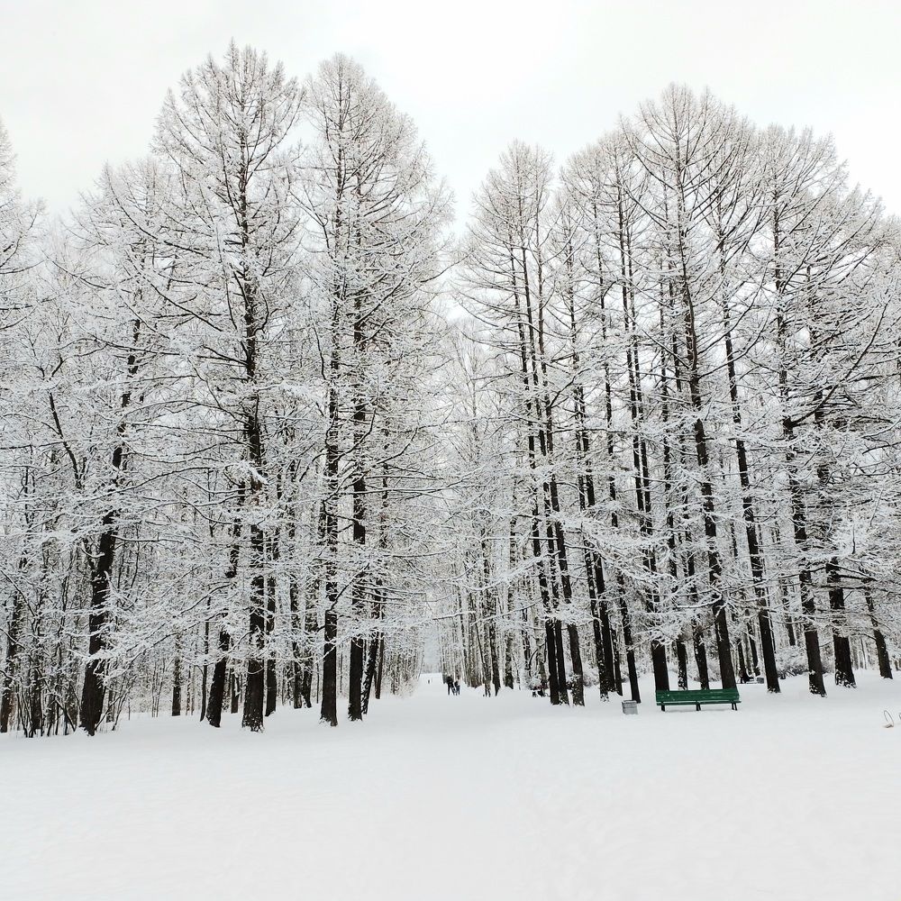 Фотография автора Наталья Бруёк