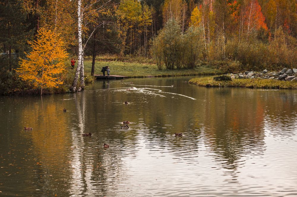 Photograph by ИРЕНА Цурпал