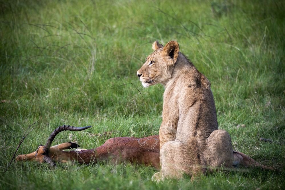 Photograph by Raquel de Castro Maia