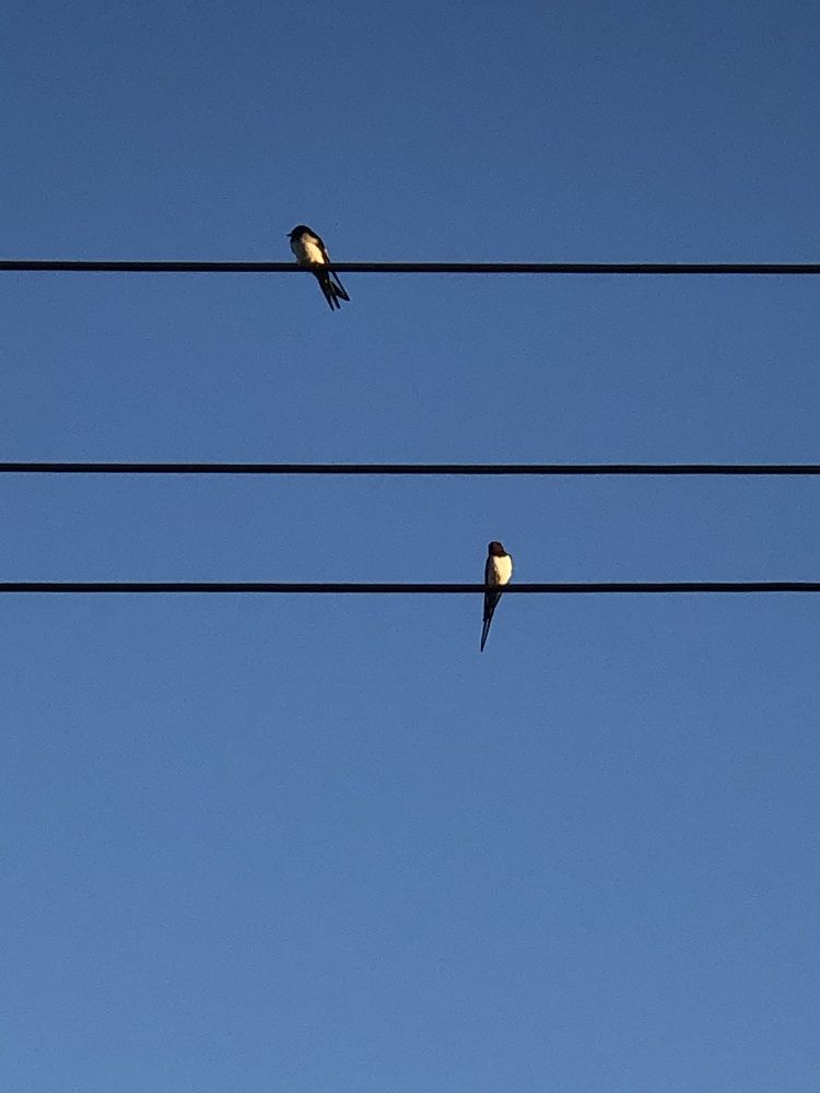 Photograph by Мария Бессмертная