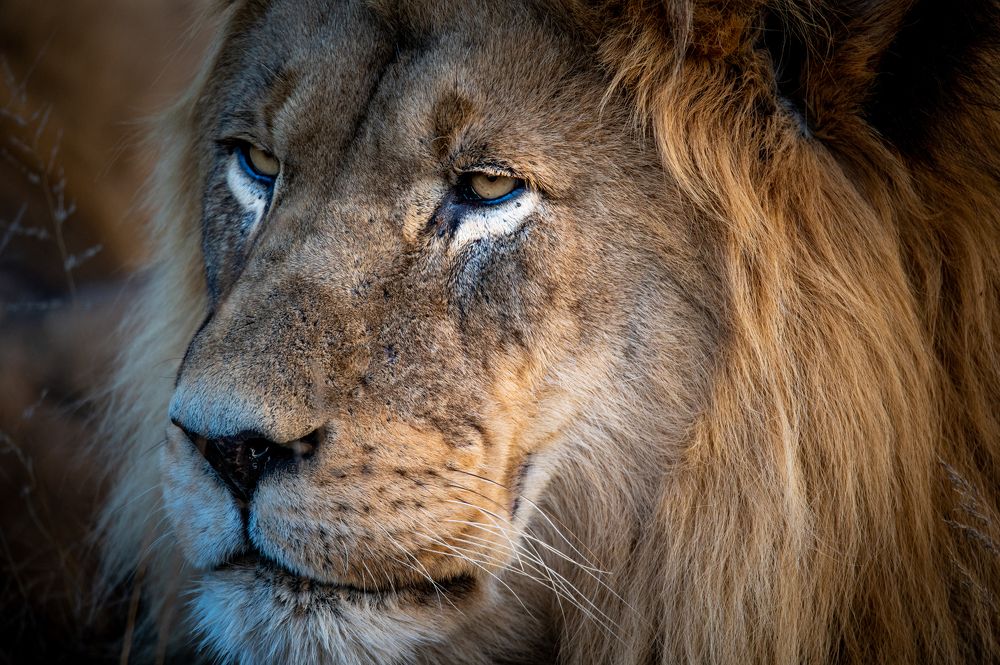 Photograph by Raquel de Castro Maia