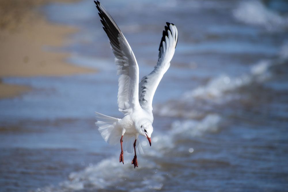 Photograph by Оксана Губанова