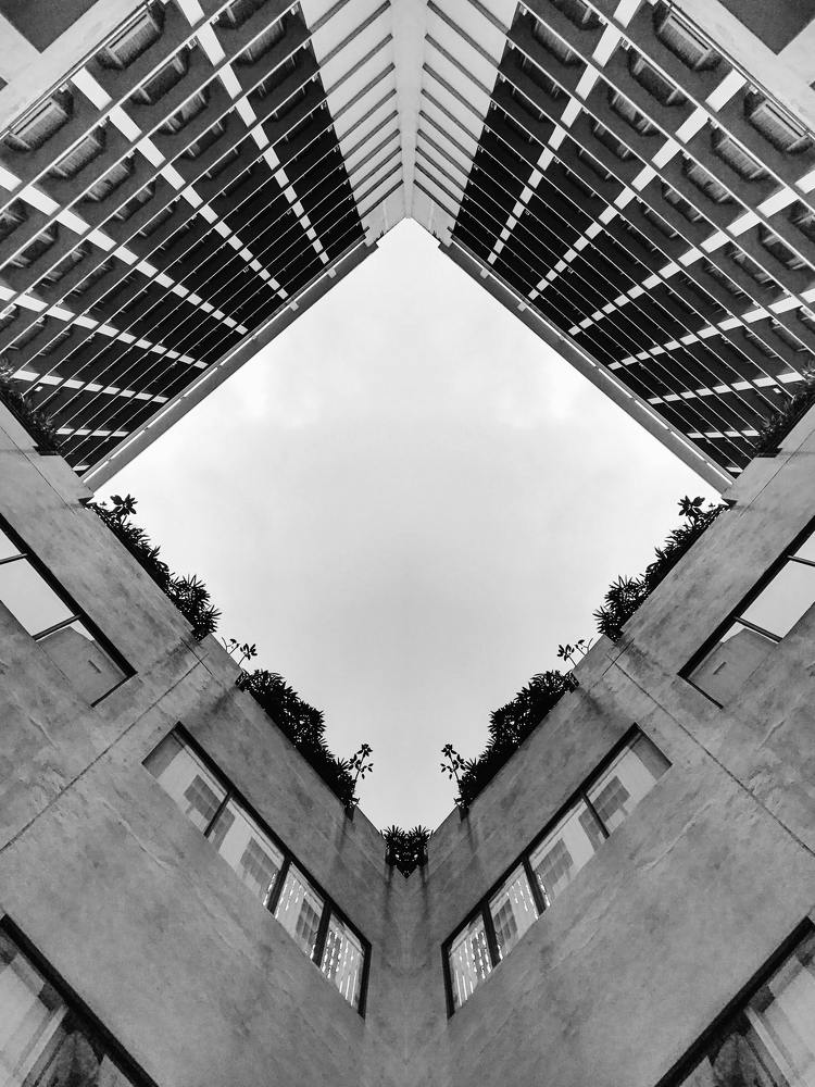 Photograph by Hamed Shahrokhi