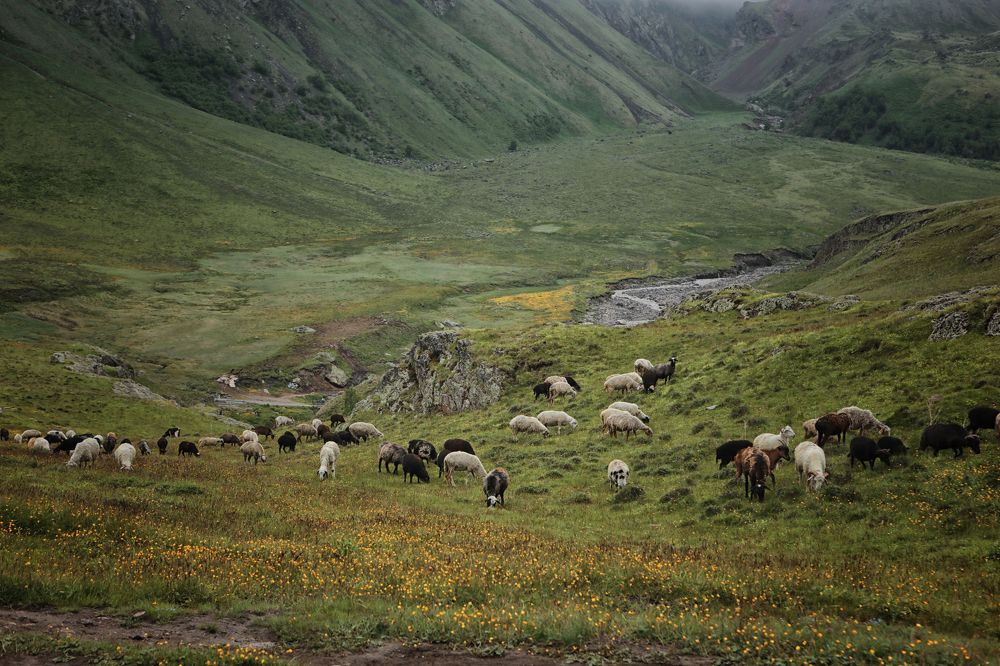 Photograph by Туева Наталья