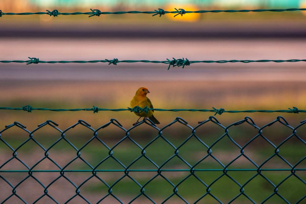 Photograph by Luis Alfredo Morales Torres