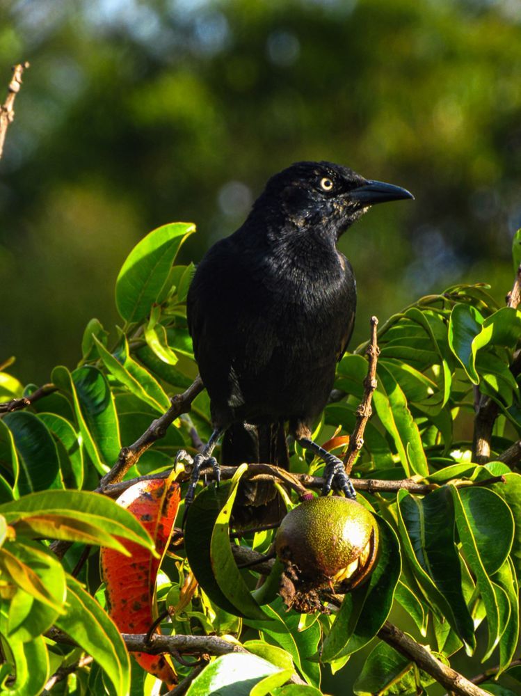 Photograph by Luis Alfredo Morales Torres