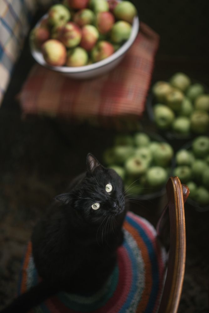 Фотография автора Татьяна Сикорская