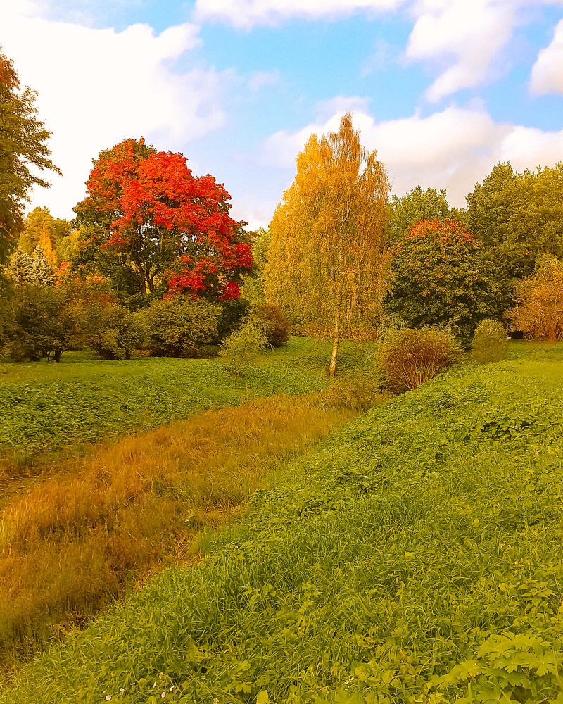 Photograph by Люда Яковлева