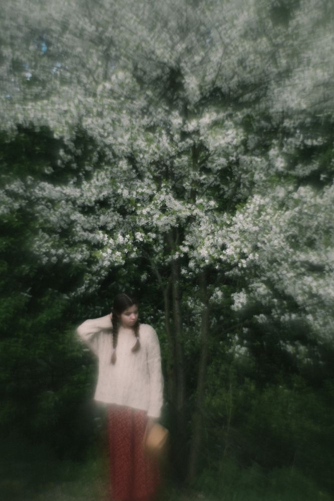 Фотография автора Татьяна Сикорская