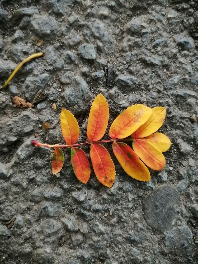 Photograph by Наталия