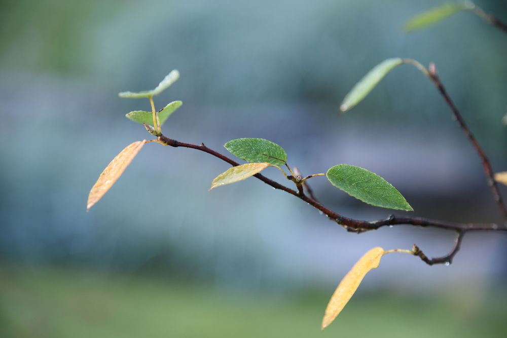 Photograph by Ольга Струкалина