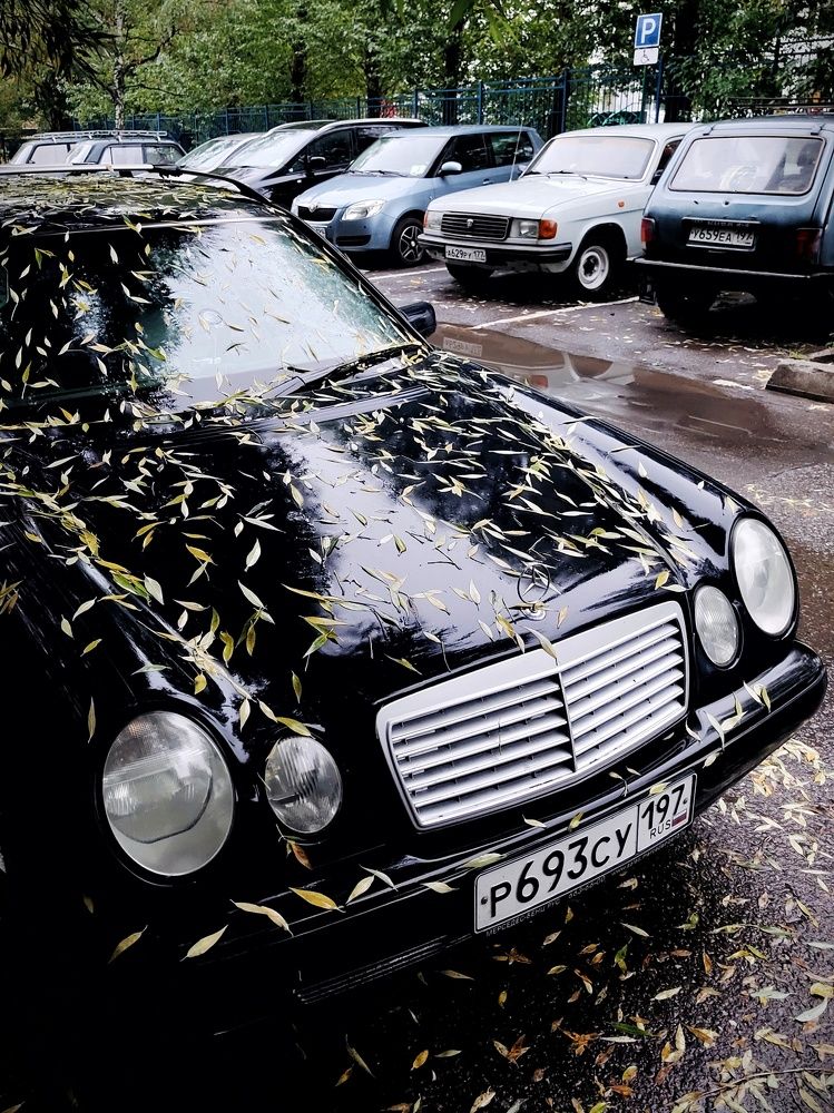 Photograph by Marina Green