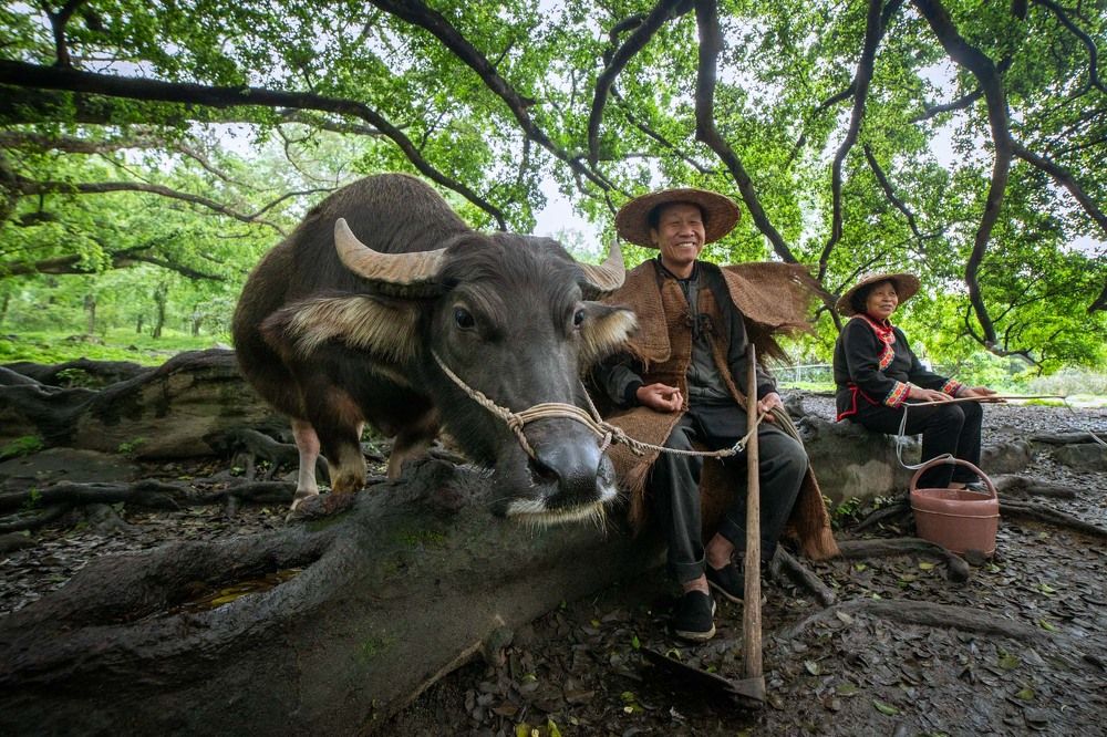 Photograph by Evgeny S.