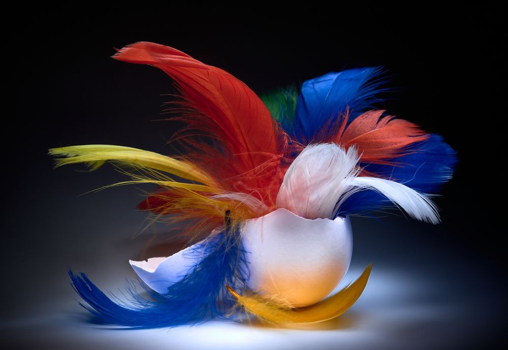 Многообразие