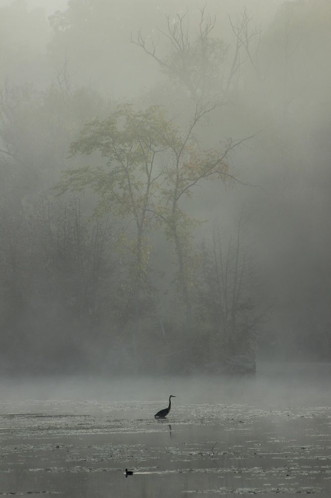 Photograph by T.L Weaver