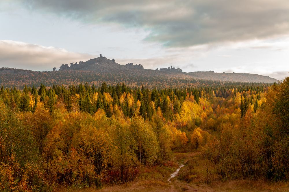 Photograph by Евгений Москвин