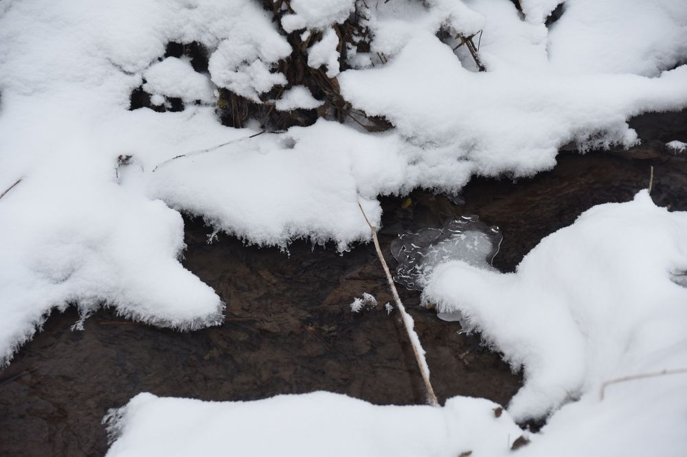 Photograph by Владислав Рубцов