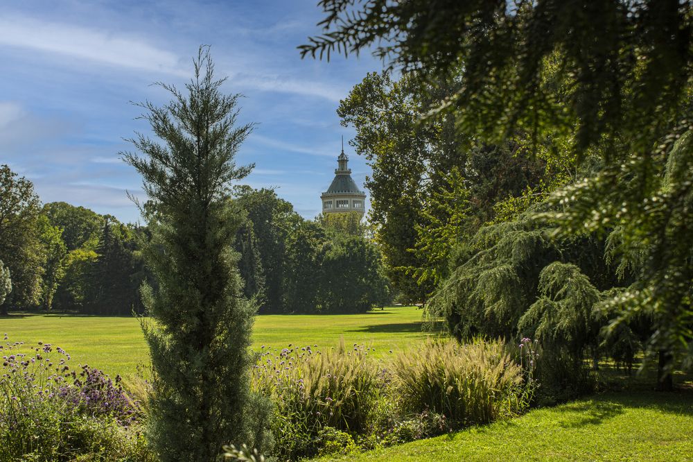 Budapest,Margit sziget.