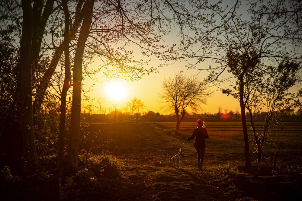 Photograph by damiano pignatti