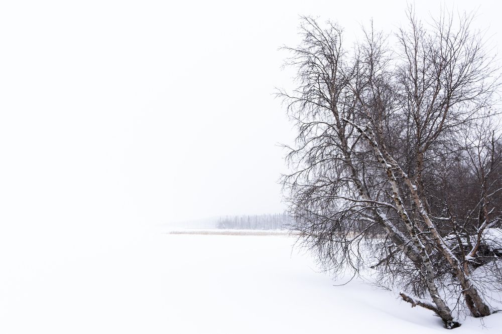 Photograph by Дмитрий Геращенко