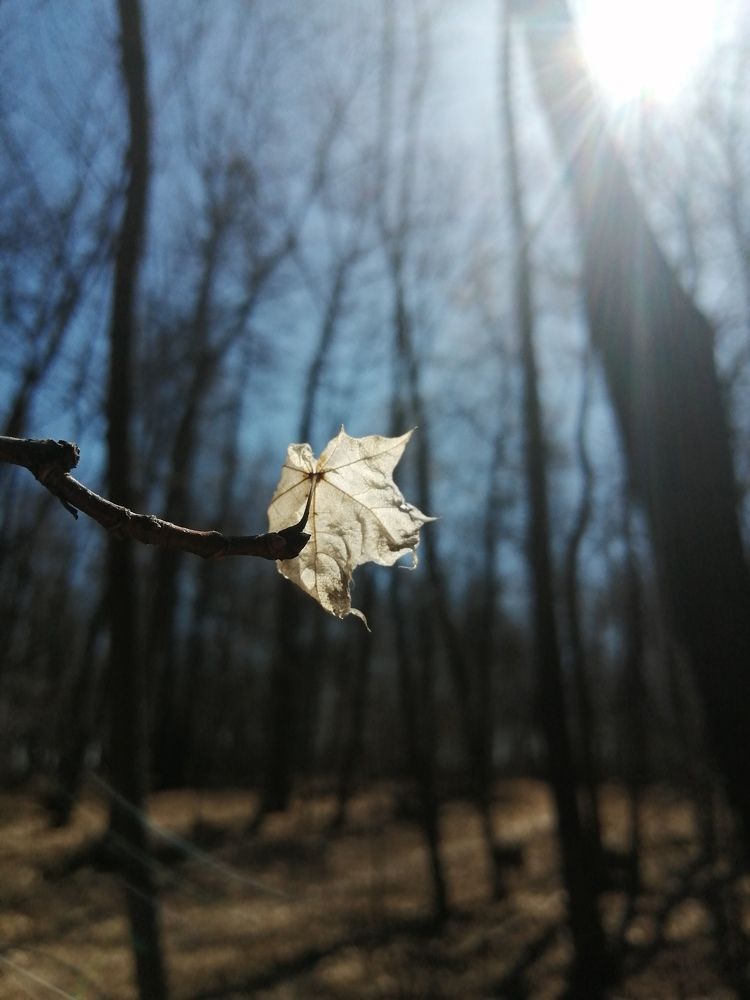 Photograph by Наталья Дубовкина