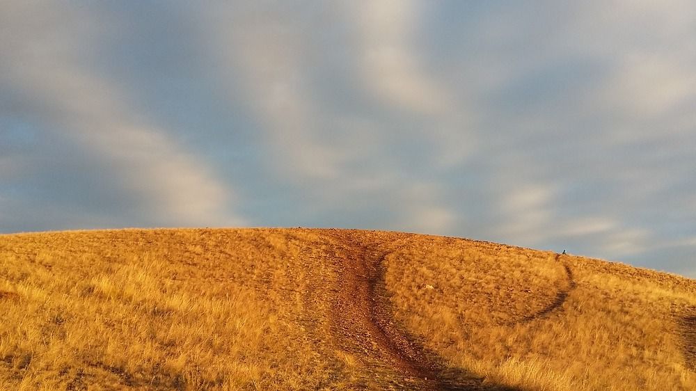 Photograph by Наталья Дубовкина