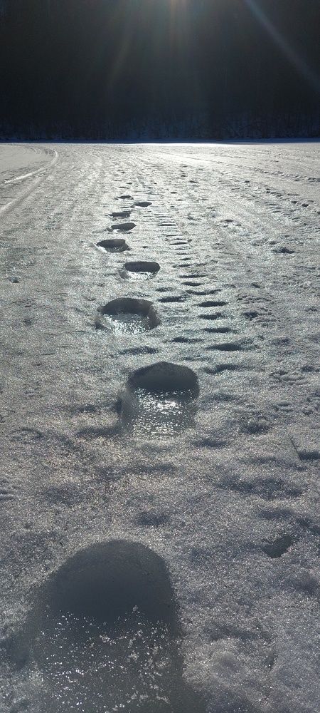 Photograph by Наталья Дубовкина