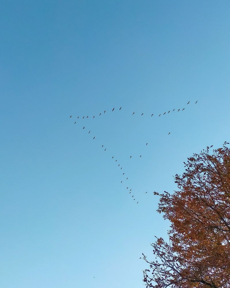 Photograph by Александр Панин