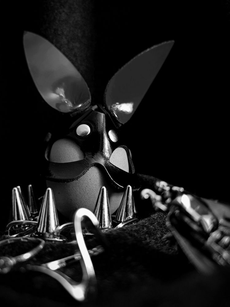 Photograph by Злата