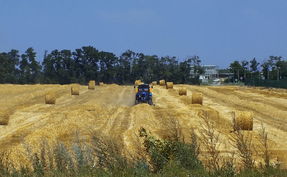 Photograph by Роман