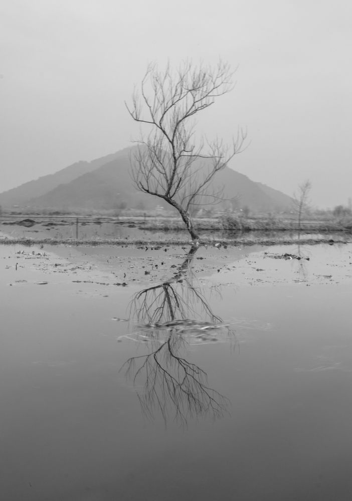 Фотография автора Afzal Khan