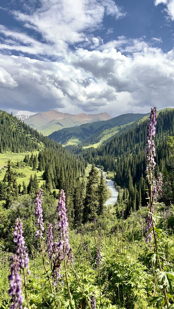 Ущелье Текес (Казахстан)