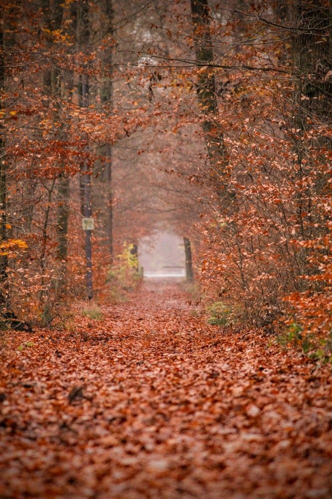 Photograph by volkan akan