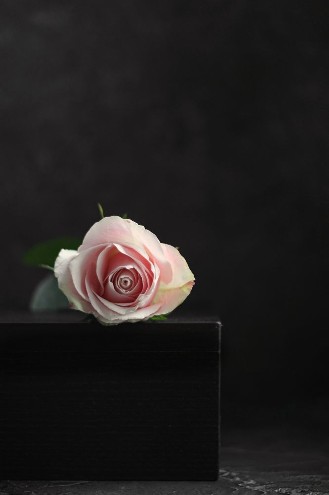 Photograph by Оксана Бурцева