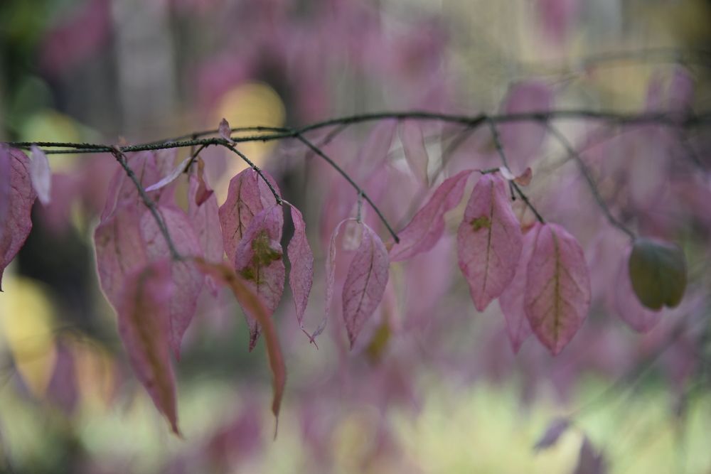 Photograph by Ольга Струкалина
