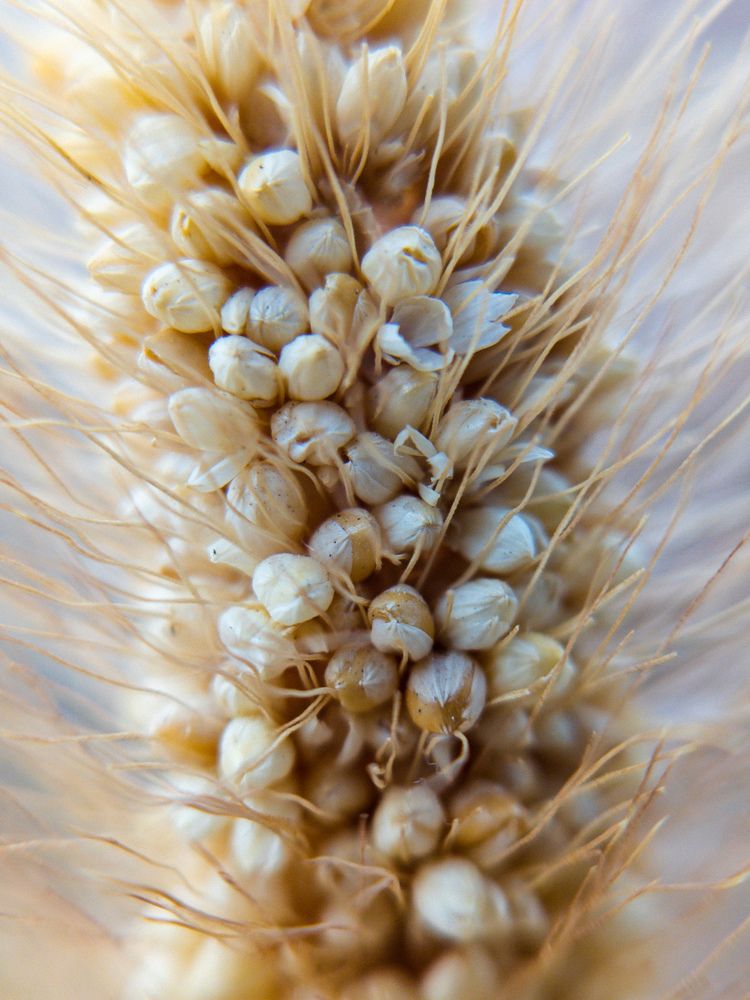 Photograph by Vitaliy