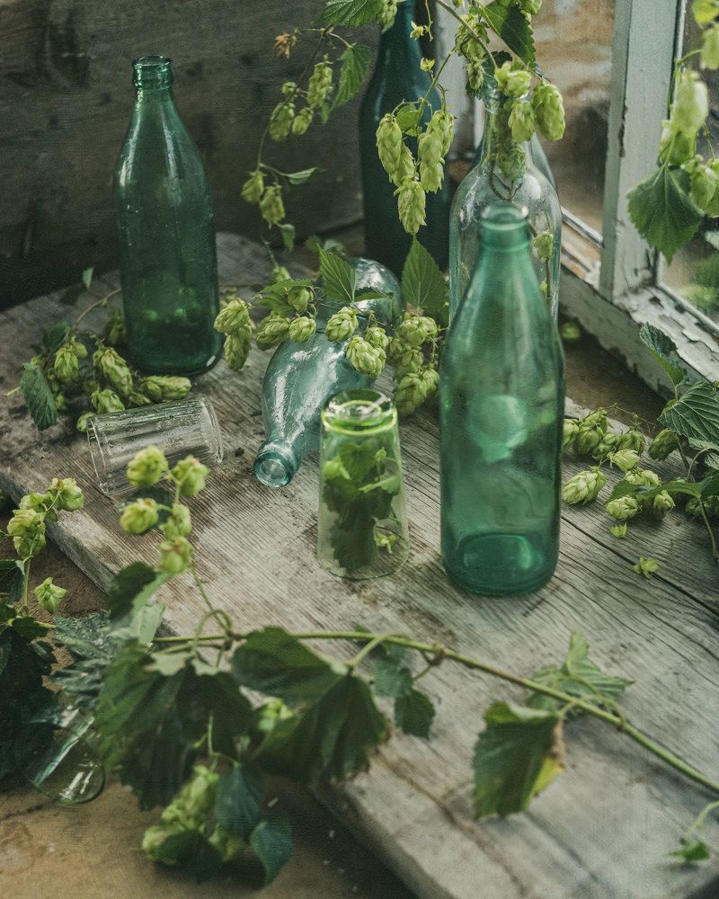 Photograph by  Анастасия Тимарг