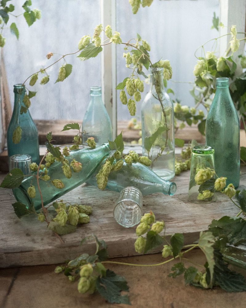 Photograph by  Анастасия Тимарг