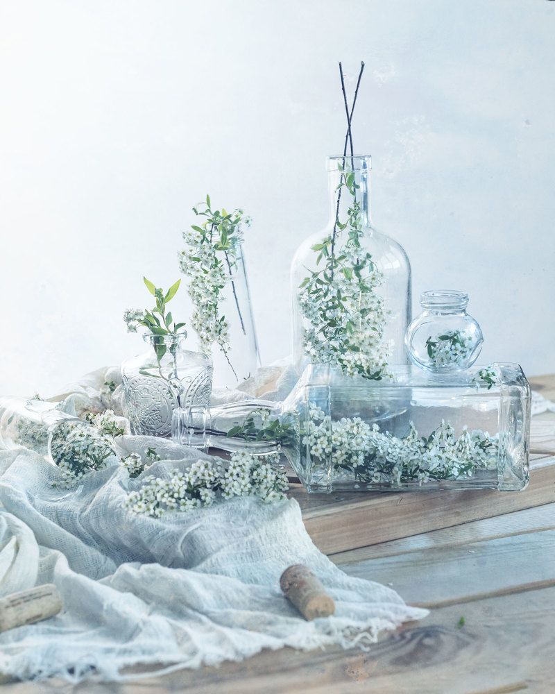 Photograph by  Анастасия Тимарг