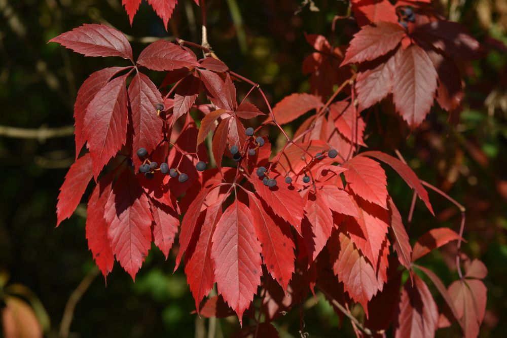 Photograph by Ольга Струкалина
