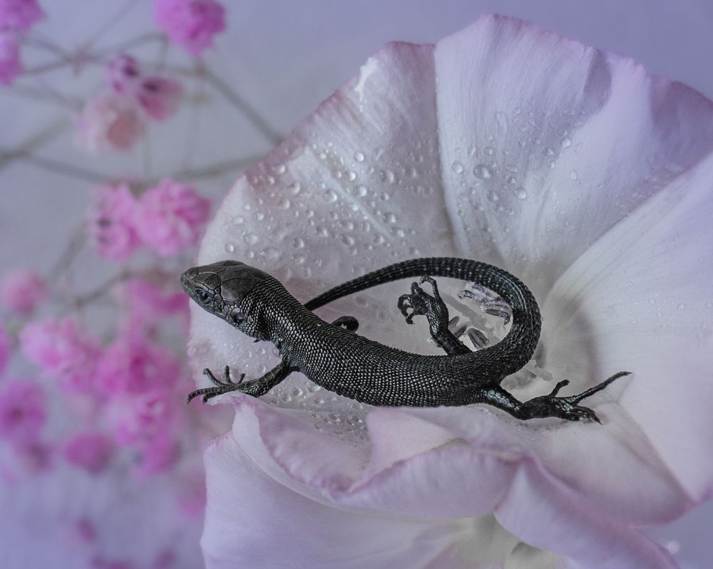 Photograph by T.Ю. Гринько
