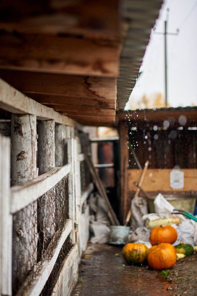 Photograph by Евгения Гловацкая