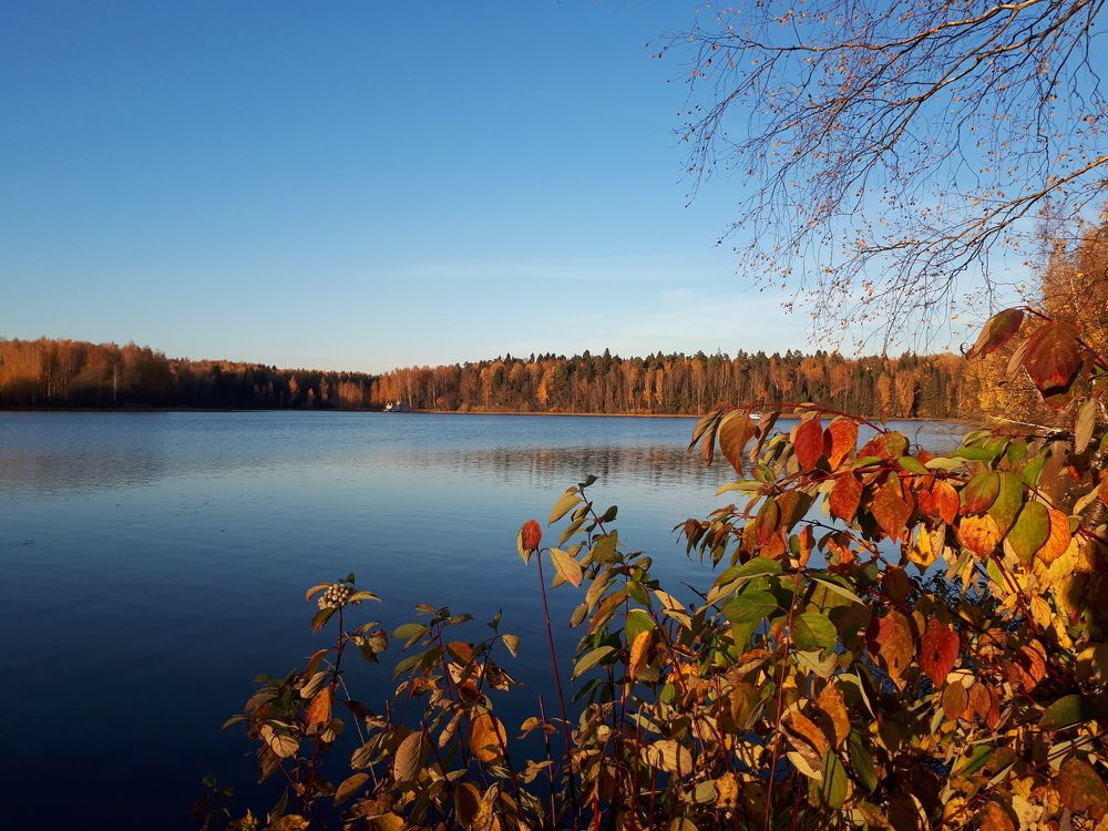 Photograph by Юлия