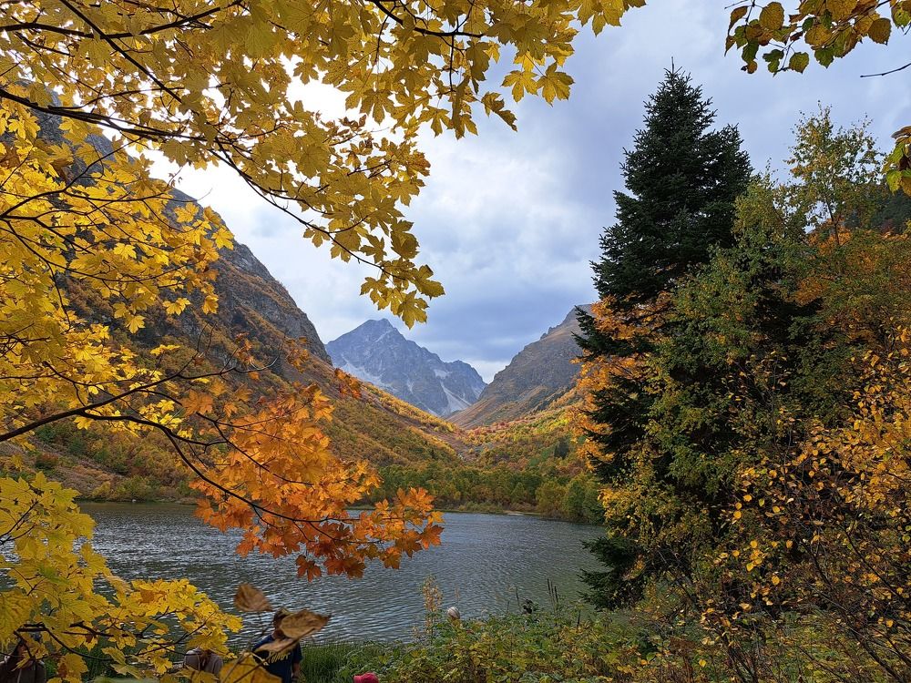 Фотография автора Ксения Смирнова