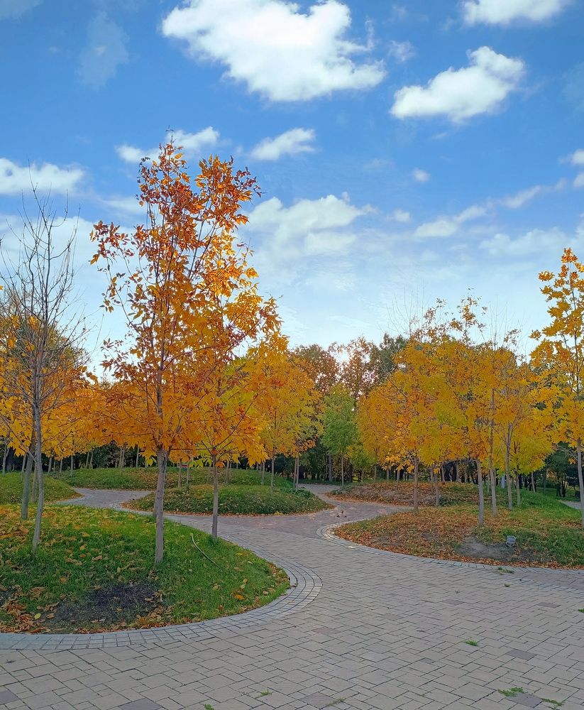 Осень в октябре...