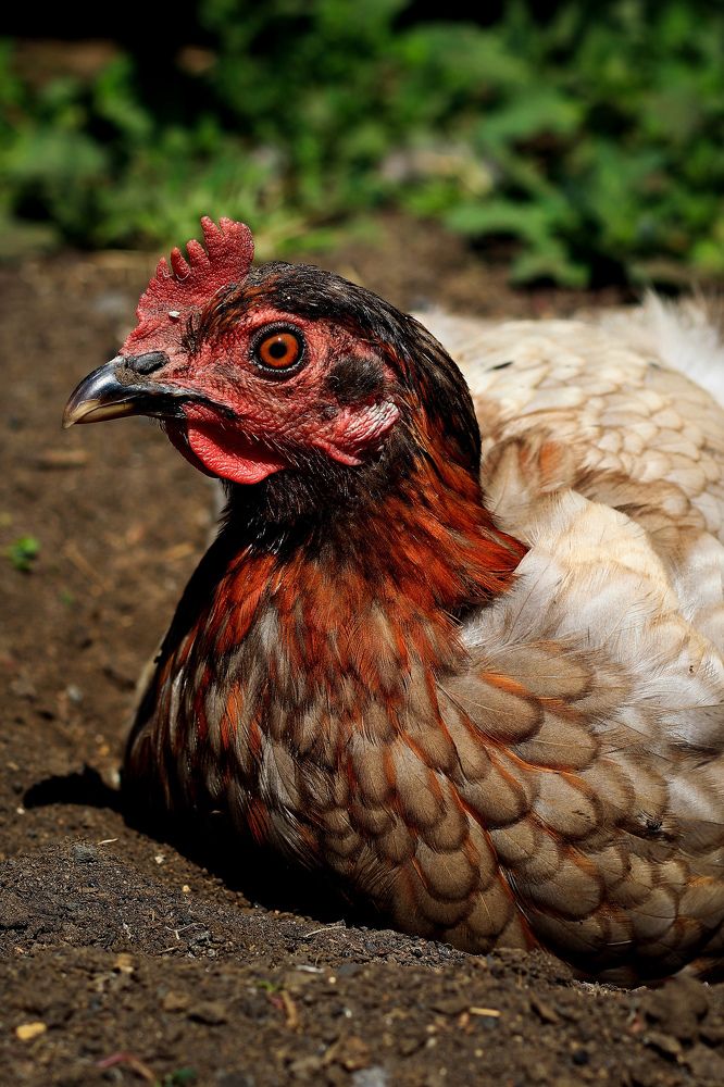 Photograph by Вася Кадочников